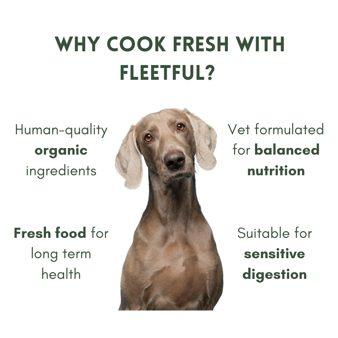 Benefits of fresh vegan dog food