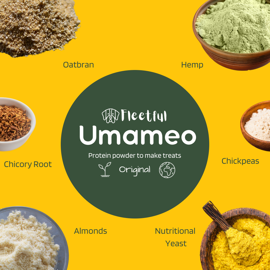 Protein shakes for dogs 2025