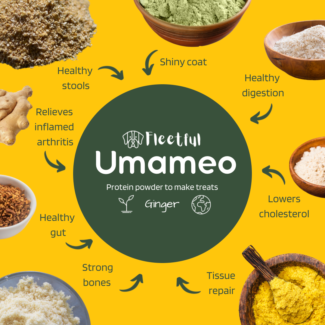 Benefits of Umameo dog treat powder