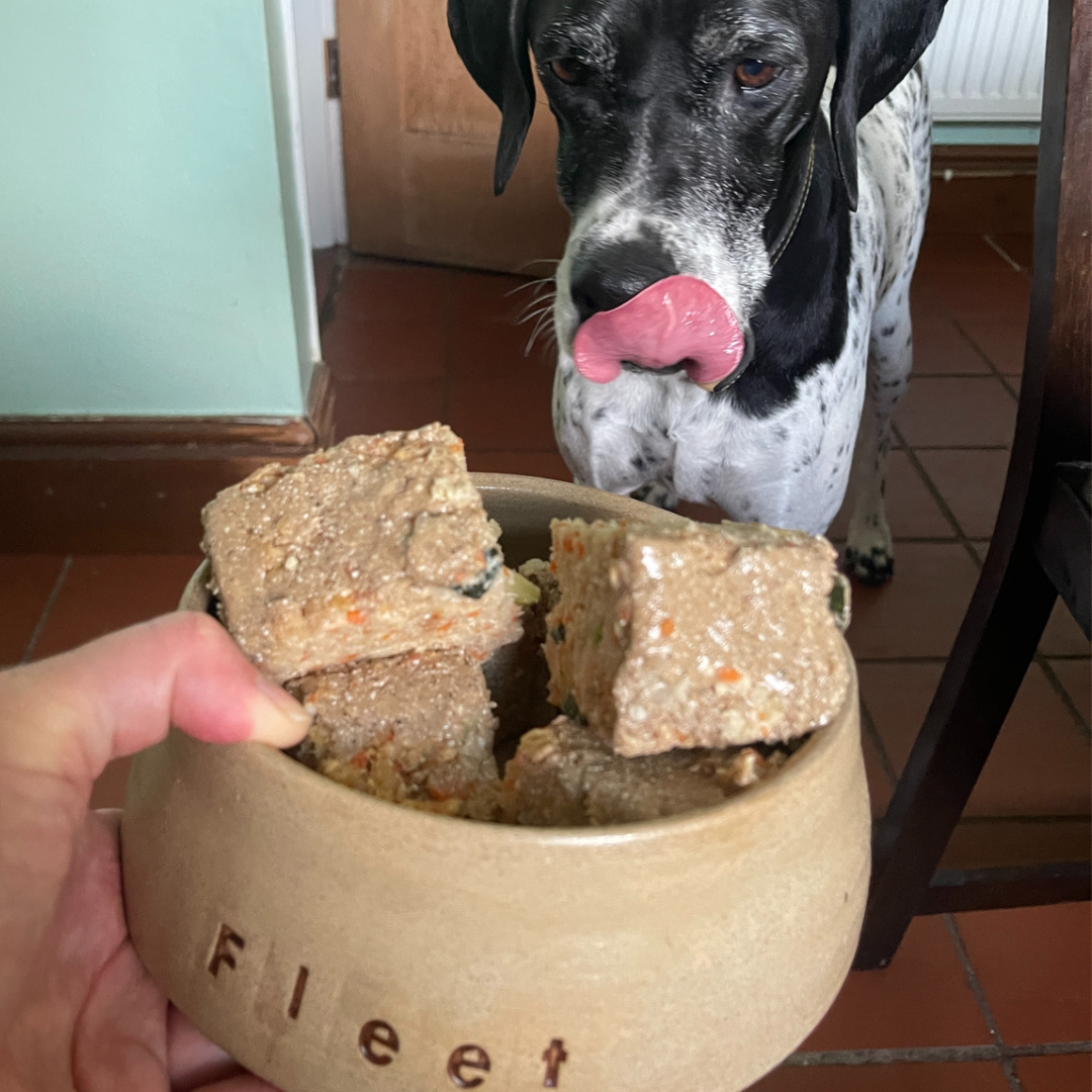 Fresh Vegan Dog Food Kit - Mighty Millet and Quinoa
