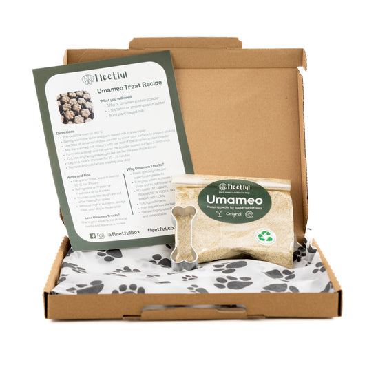 Dog Treat Recipe Gift Box / Starter Kit